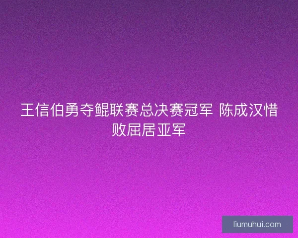 王信伯勇夺鲲联赛总决赛冠军 陈成汉惜败屈居亚军 王信伯勇夺鲲联赛总决赛冠军 陈成汉惜败屈居亚军