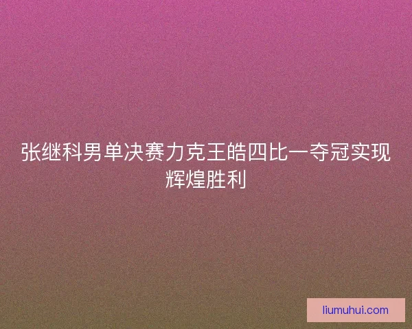 张继科男单决赛力克王皓四比一夺冠实现辉煌胜利