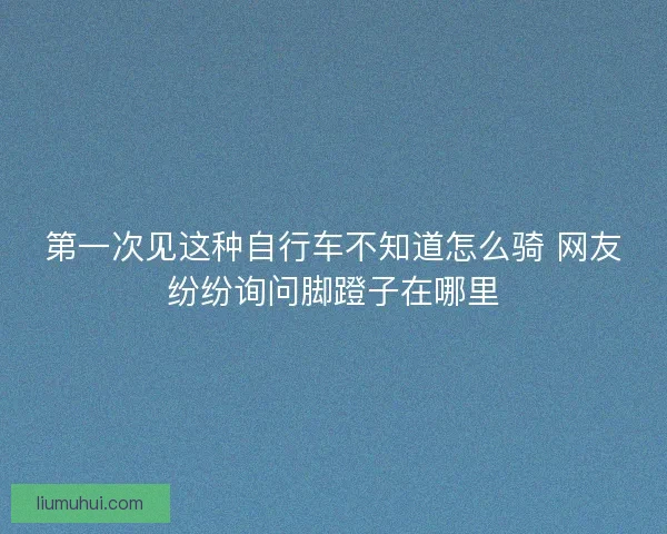 第一次见这种自行车不知道怎么骑 网友纷纷询问脚蹬子在哪里